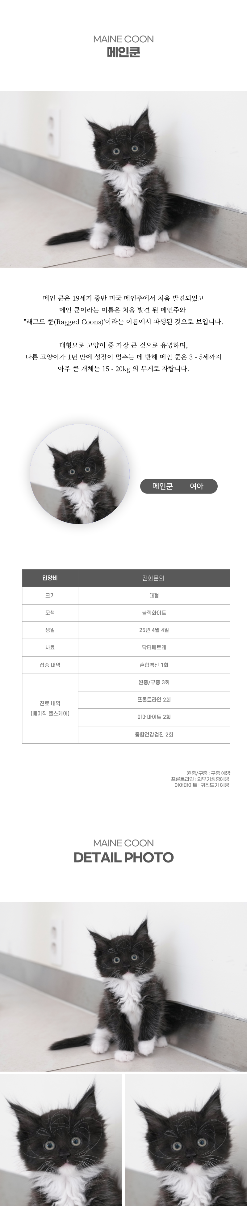 메인쿤_상세이미지_2